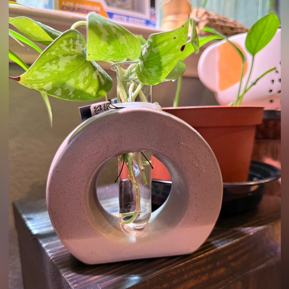 Modern Ceramic Circle Propagation Vase - Light Gray